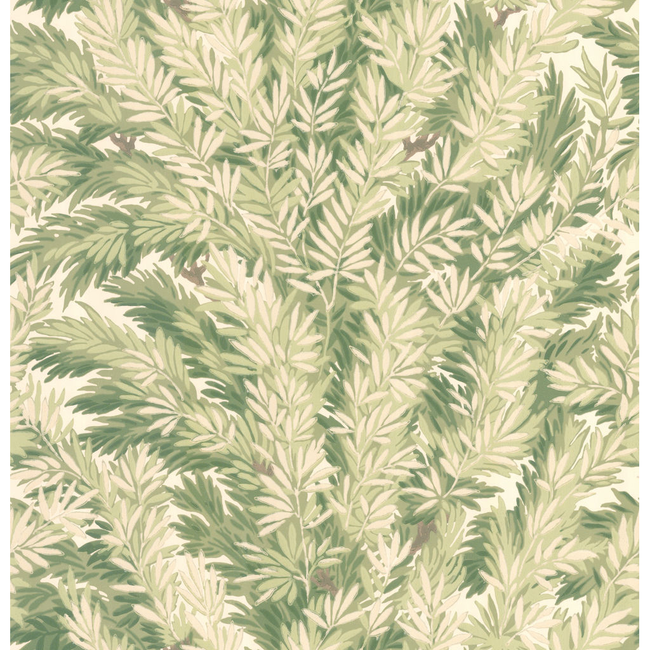 cole & son - florencecourt - olive - 100/1003.cs.0