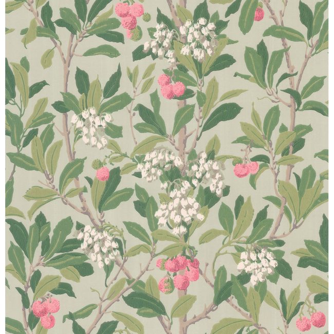 cole & son - strawberry tree - pink & duck egg - 100/10048.cs.0