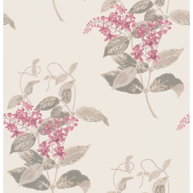 cole & son - madras violet - pink - 100/12058.cs.0