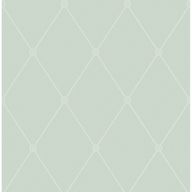 cole & son - large georgian rope trellis - duck egg - 100/13066.cs.0