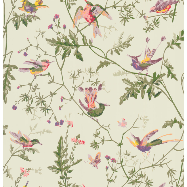 cole & son - hummingbirds - green multi-colour - 100/14070.cs.0
