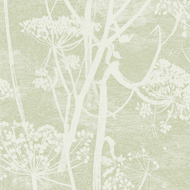 cole & son - cow parsley - olive - 112/8029.cs.0