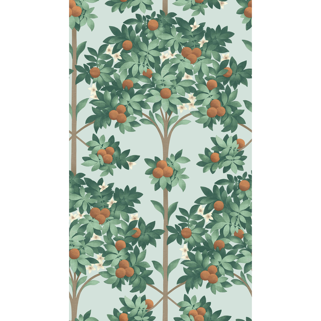 cole & son - orange blossom - burnt orange/mint/seafoam - 117/1004.cs.0
