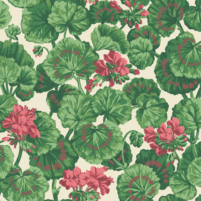 cole & son - geranium - rose/forest grn on parchment - 117/11034.cs.0