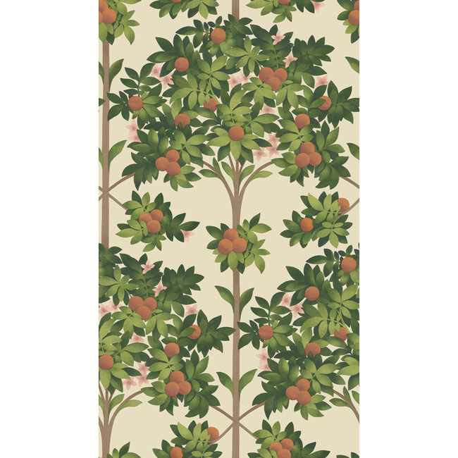 cole & son - orange blossom - orange & spring green/parch - 117/1001.cs.0