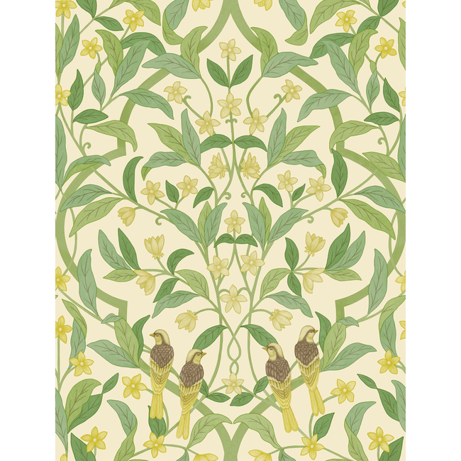cole & son - jasmine & serin symphony - chartreuse/grn/wt - 117/10031.cs.0