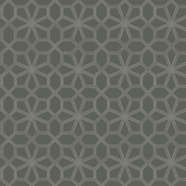 cole & son - wolsey stars - chalk/charcl - 118/16037.cs.0