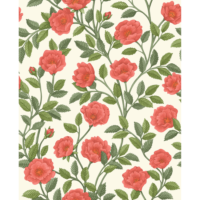 cole & son - hampton roses - r&sgrn/pmnt - 118/7013.cs.0