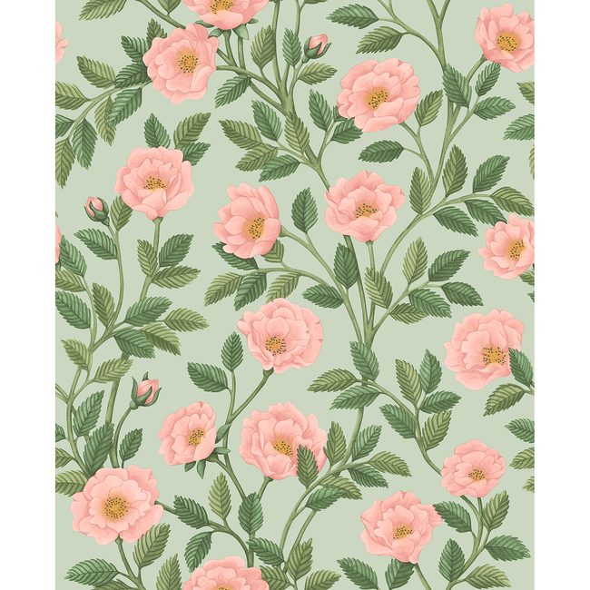 cole & son - hampton roses - r&lgrn/degg - 118/7014.cs.0