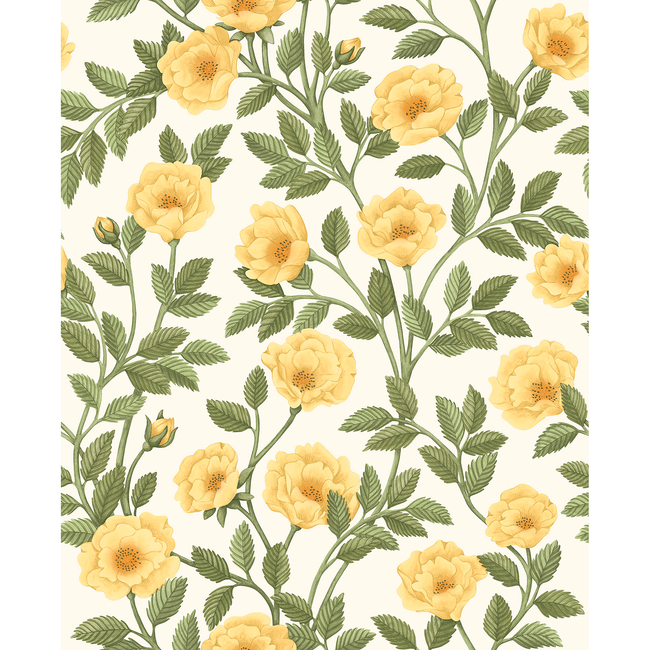 cole & son - hampton roses - mrg&ogrn/wh - 118/7015.cs.0