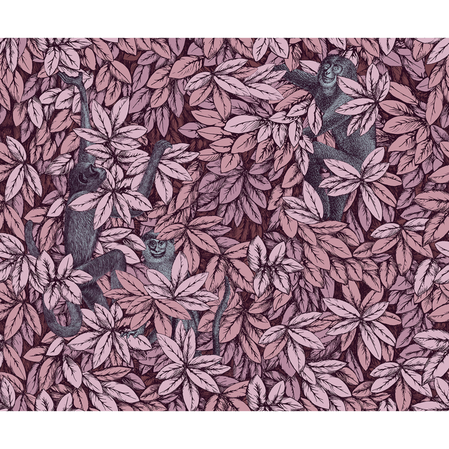 cole & son - foglie e scimmie - blush - 123/10048.cs.0