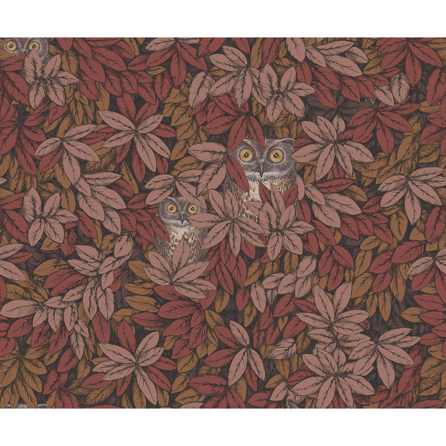 cole & son - foglie e civette - autumnal - 123/11055.cs.0