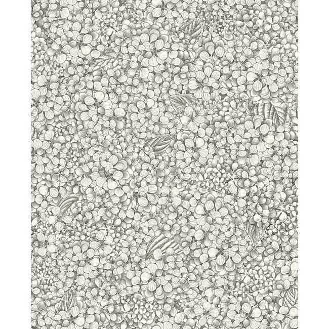 cole & son - ortensia - black & white - 123/9043.cs.0