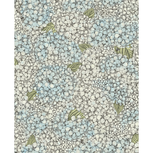 cole & son - ortensia - blue & cream - 123/9044.cs.0