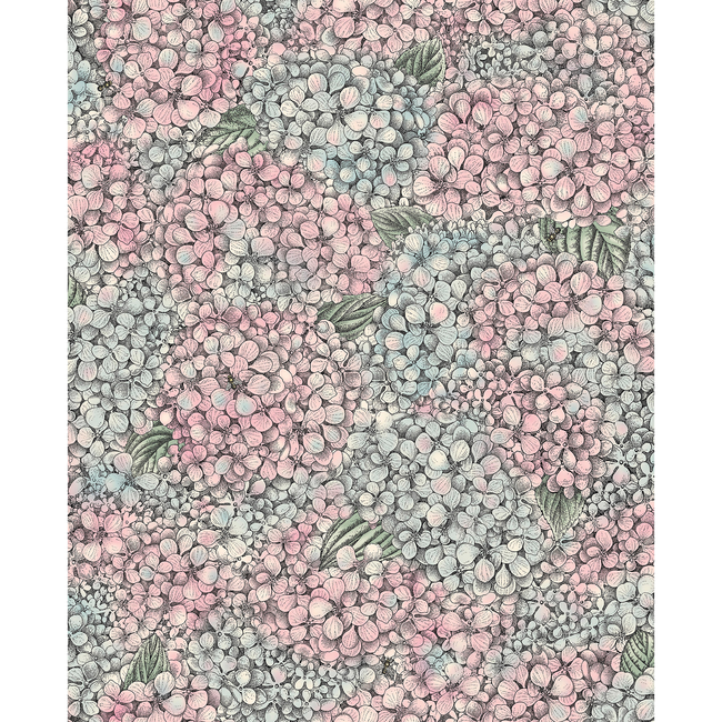 cole & son - ortensia - pink & blue - 123/9045.cs.0