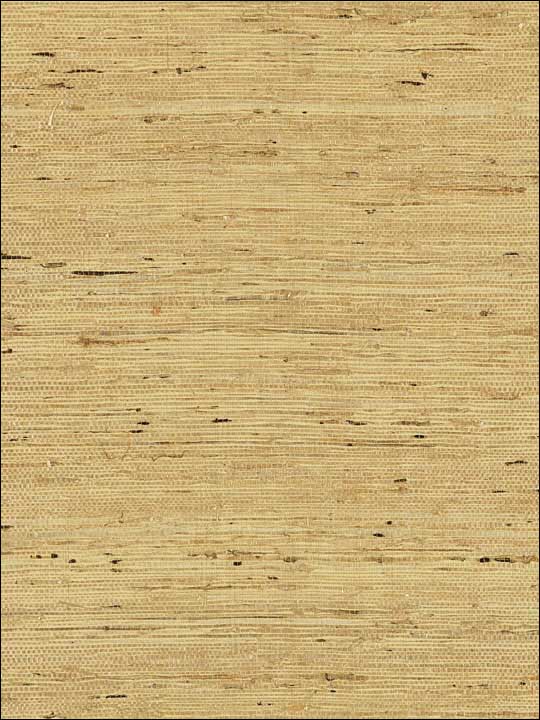 scalamandre sc0003wp88344 arrowroot weave honey wallpaper
