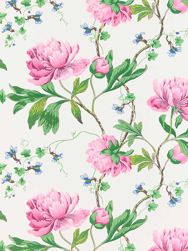 scalamandre sc0003wp88562 isadora petal wallpaper