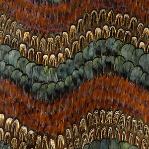 schumacher - biscayne - peacock & pheasant - 5003880 - wallpaper