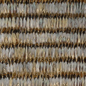schumacher - everglades - dove - 5003930 - wallpaper