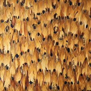 schumacher - aventurine - tulip yellow - 5008389 - wallpaper