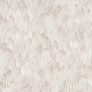 schumacher - feathers - brown - 5008612 - wallpaper