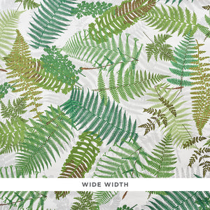 schumacher - fernarium - ivory & leaf - 5009190 - wallpaper