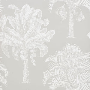 schumacher - grand palms - dove - 5009622 - wallpaper