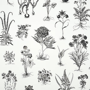schumacher - cabot botanical large - ivory - 5010640 - wallpaper