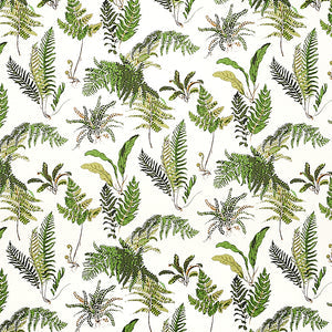 schumacher - les fougeres - document - 5010660 - wallpaper