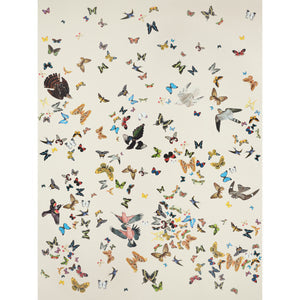schumacher - queen's flight panel set - gray - 5010862 - wallpaper