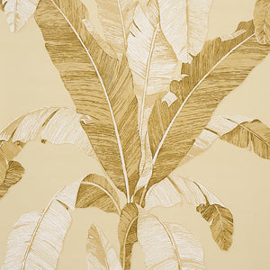 schumacher - erisimo - neutral - 5012111 - wallpaper