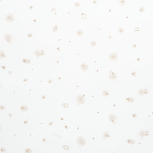 Schumacher - Stellar - Neutral - 5012190 - Wallpaper