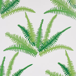 schumacher - canyon ferns - 5012620