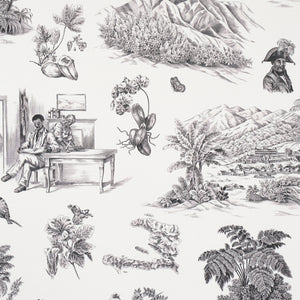 schumacher - toussaint toile - black on ivory - 5013770 - wallpaper