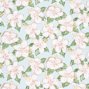 schumacher - fabienne - sky - 5013810 - wallpaper
