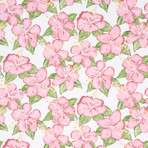schumacher - fabienne - 5013810