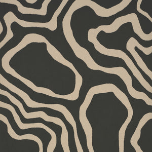 schumacher - defeo - carbon - 5016102 - wallpaper