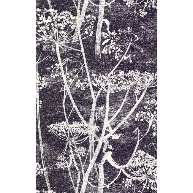 cole & son - cow parsley - white/blk - 66/7046.cs.0
