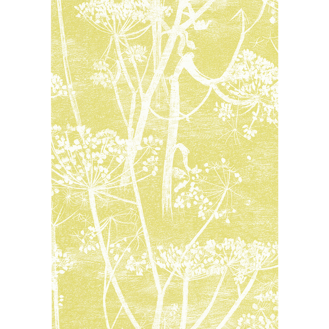 cole & son - cow parsley - white/y - 66/7051.cs.0