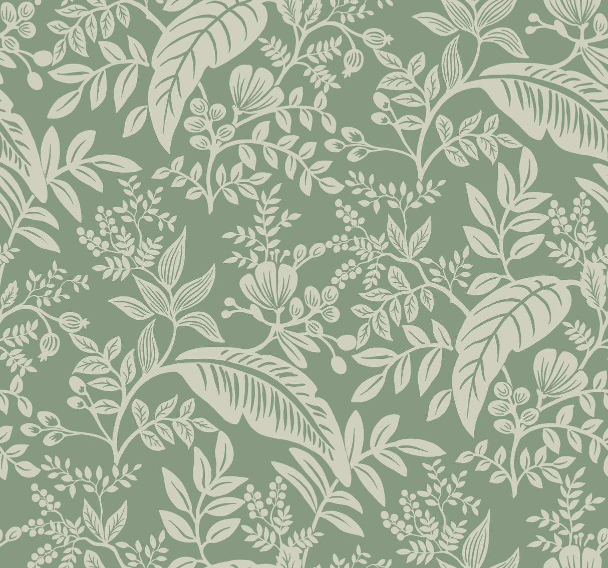 rifle paper co. canopy sage wallpaper