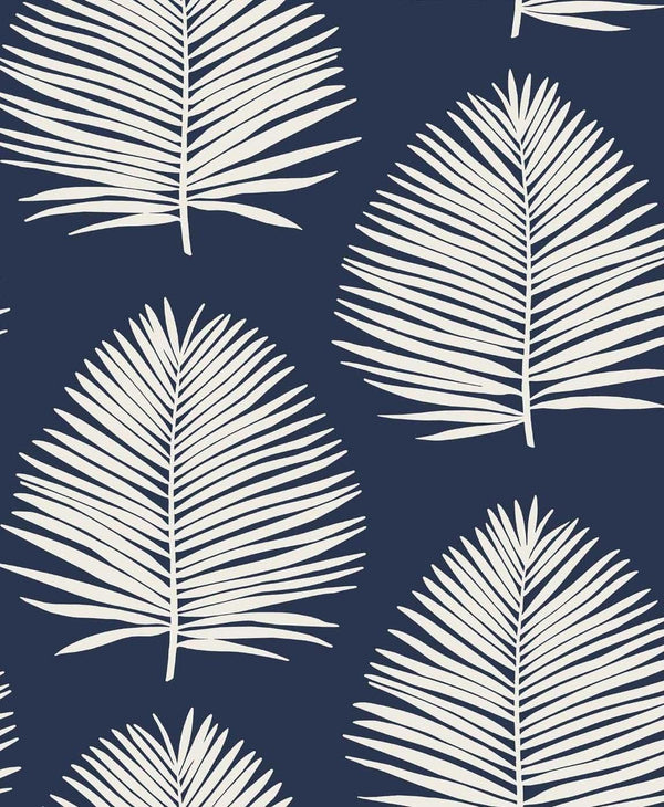 seabrook island palm midnight sky wallpaper