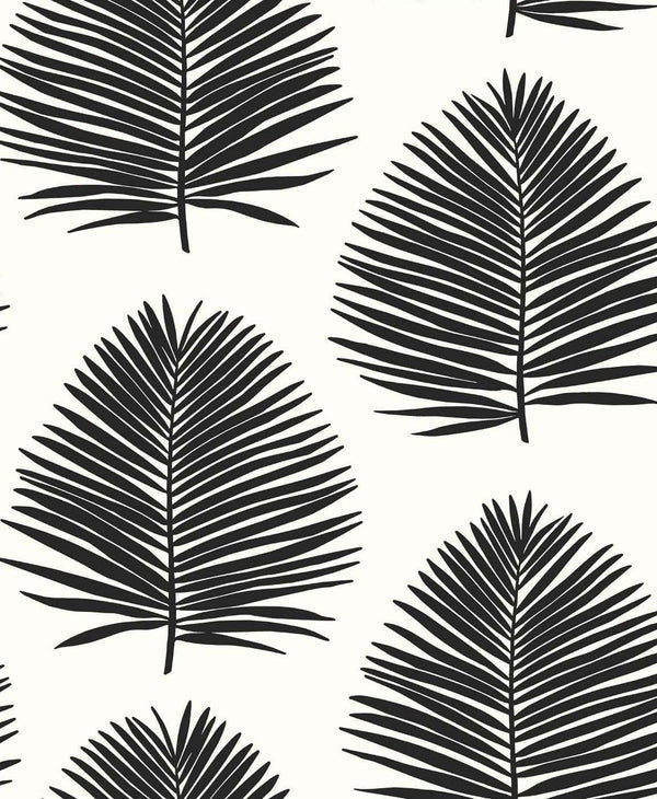 seabrook island palm day and night wallpaper