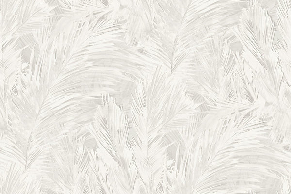 seabrook mari fog wallpaper