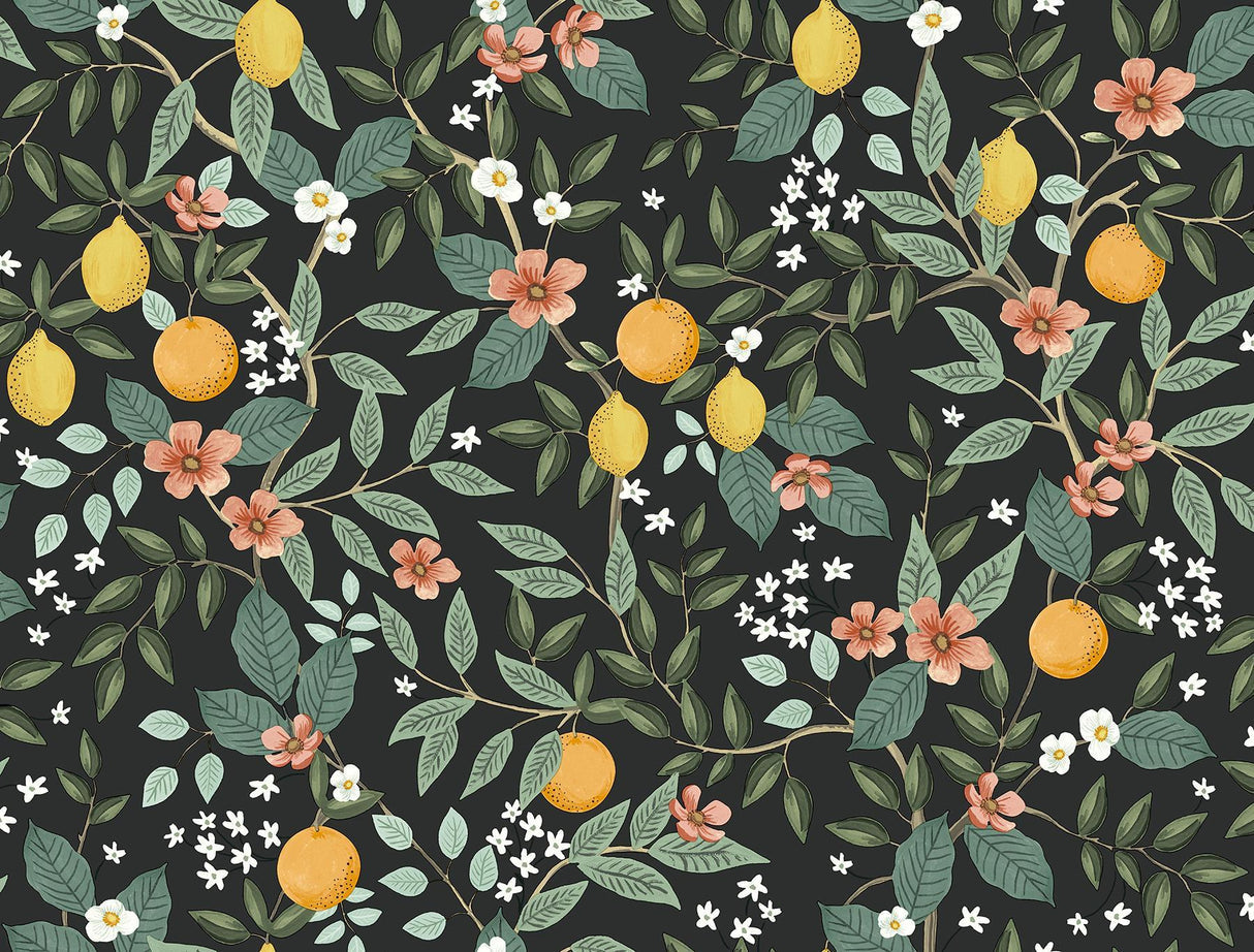 rifle paper co. citrus grove peel and stick black wallpaper