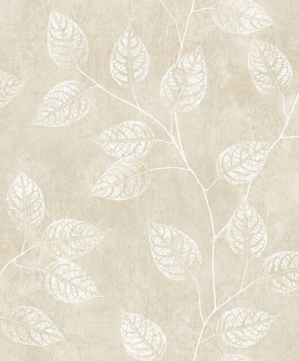 seabrook branch trail silhouette summer sand wallpaper