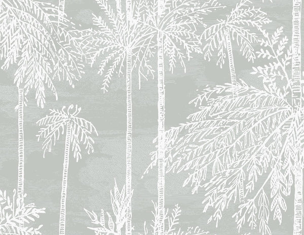 seabrook palm grove misty wallpaper