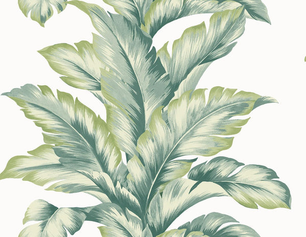 seabrook banana springs rivercrest wallpaper