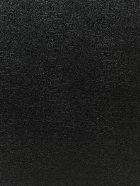 scalamandre cary onyx fabric - scala 27261-010