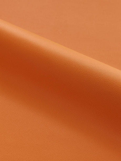 scalamandre clark | outdoor mesa fabric - scala 27263-031