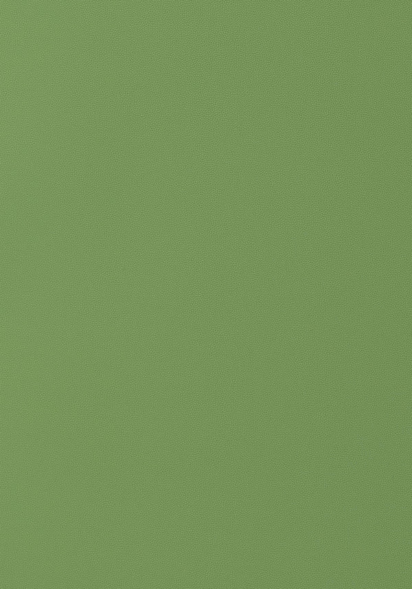 thibaut salta fabric w9028